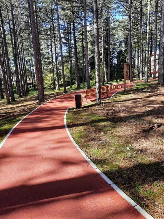 Appartamento Zlatibor M Esterno foto